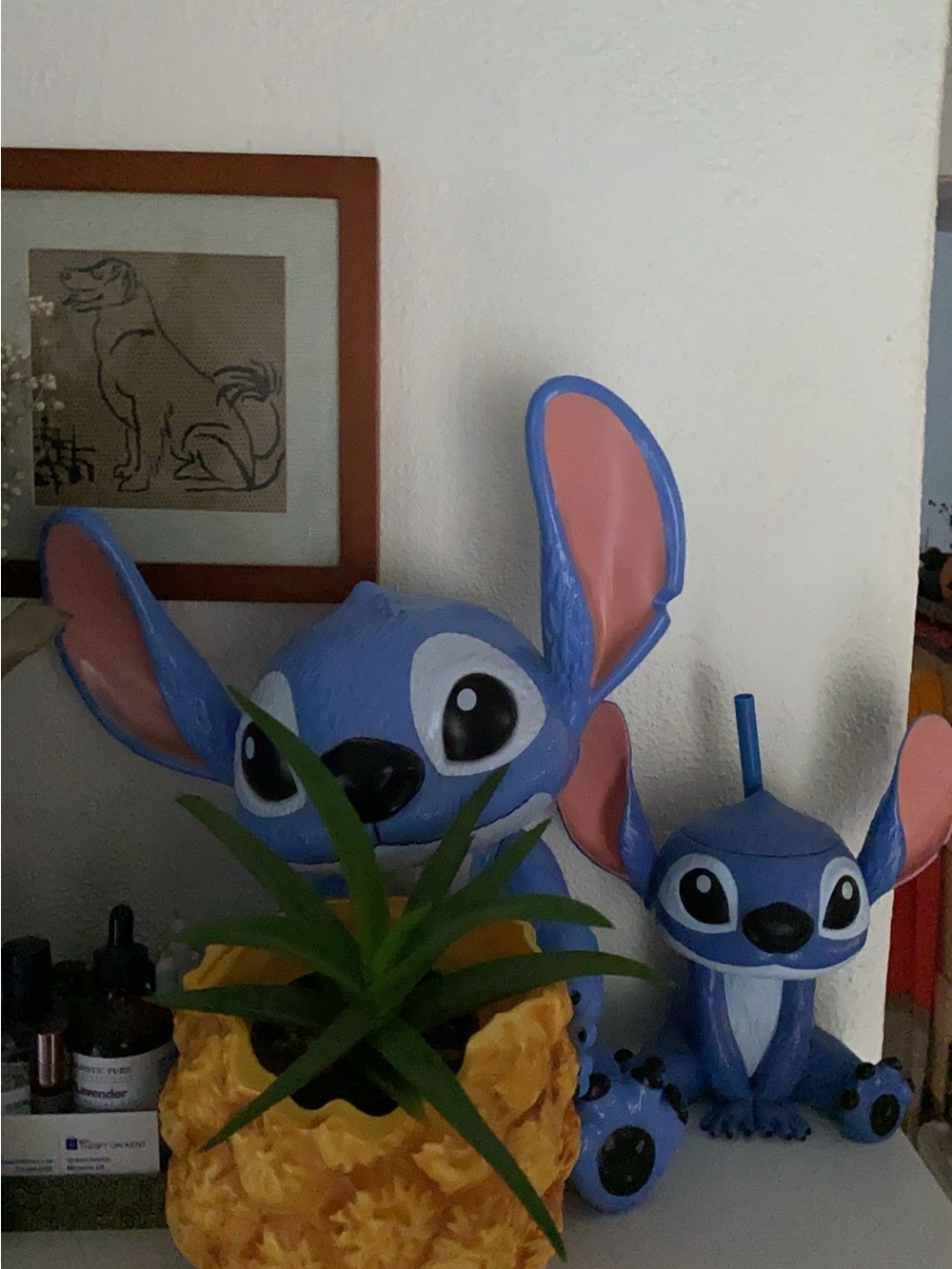 Stitch popcorn bucket and drink cup